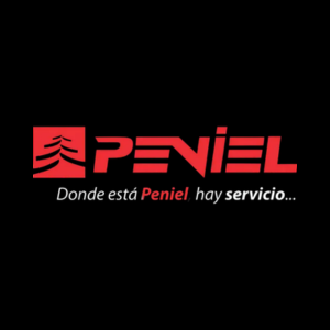 Flow Produtora